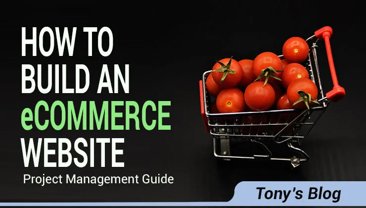 eCommerce Project Management: Complete Build Guide